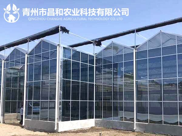 陽光板溫室